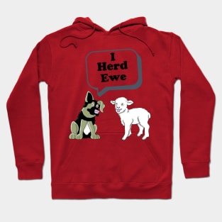 I Herd Ewe Hoodie